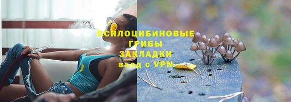 ALPHA-PVP Алексеевка