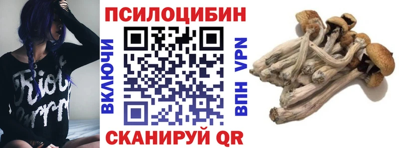 даркнет телеграм  Дзержинск  Галлюциногенные грибы Cubensis 